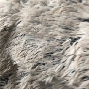 Meet your Posher, Jayden